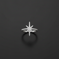 North star